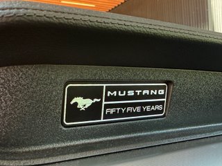 Ford Mustang Ford Mustang 5.0 Ti-VCT V8 331kW Mustang GT (Fastb.)