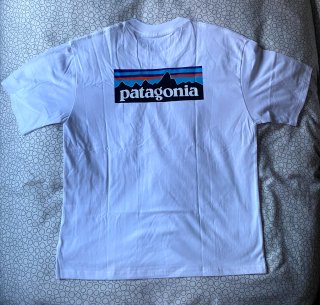 Camiseta Patagonia