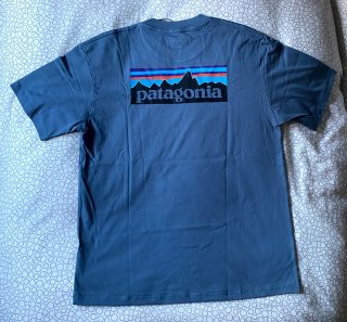 Camiseta Patagonia Azul