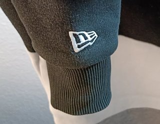 Sudadera Raiders con capucha