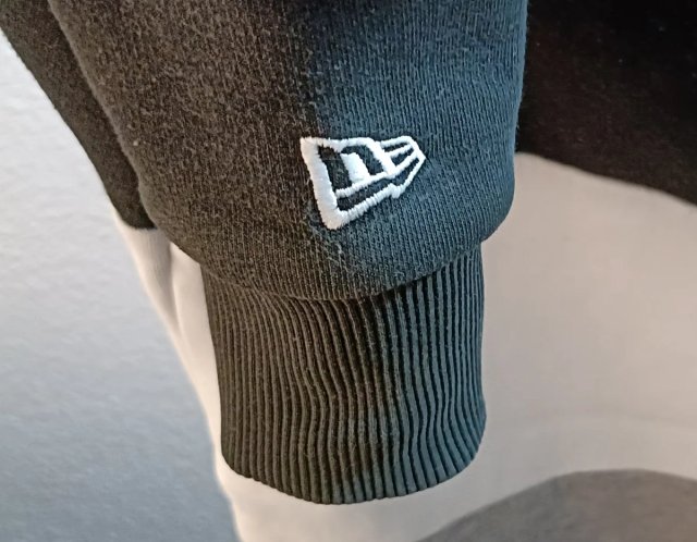 Sudadera Raiders con capucha