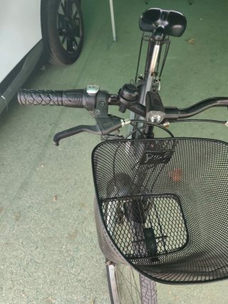 Bicicleta Paseo Mujer Gris con Cesta