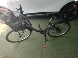 Bicicleta Paseo Mujer Gris con Cesta