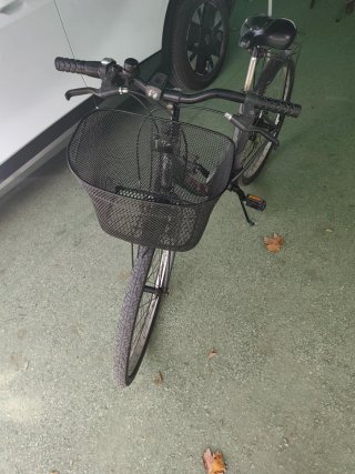 Bicicleta Paseo Mujer Gris con Cesta