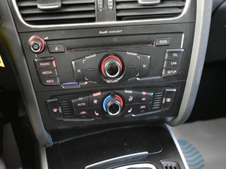 Audi A4 2.0 TDI 143cv multitronic DPF