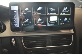 Audi A4 2.0 TDI 143cv multitronic DPF