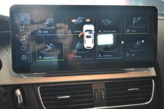 Audi A4 2.0 TDI 143cv multitronic DPF
