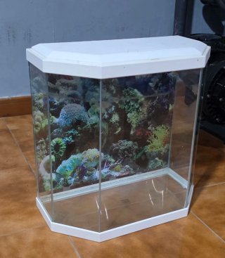 Acuario 30L con fondo decorado