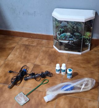 Acuario 30L con fondo decorado