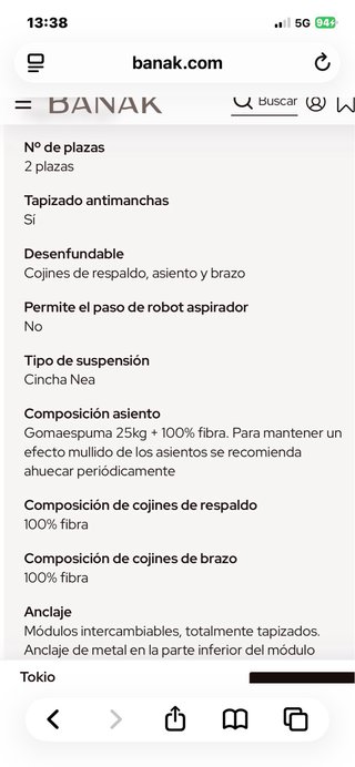 Sofá Banak Tokio 2 plazas grandes color gris perla