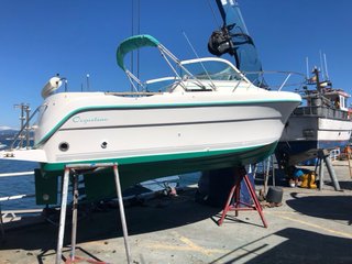 Barco pesca paseo 595