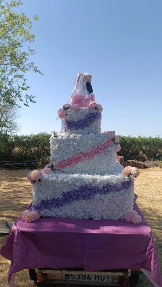 Carroza tarta de boda