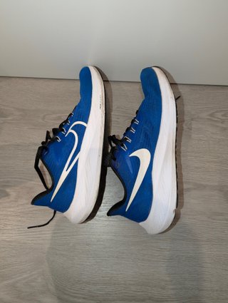 Zapatillas Nike Air Zoom Pegasus 39 Azules