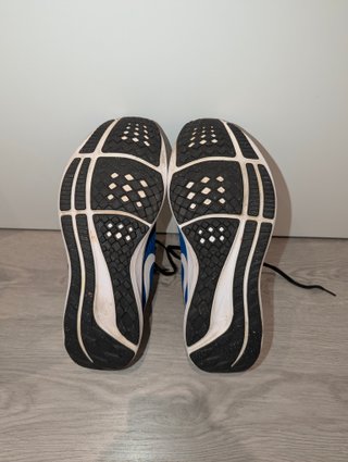 Zapatillas Nike Air Zoom Pegasus 39 Azules