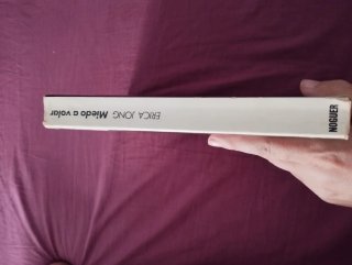 Miedo a volar de Erica Jong