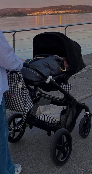 Bugaboo Fox 3 capazo y sillita