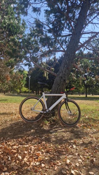 Bicicleta Fixie
