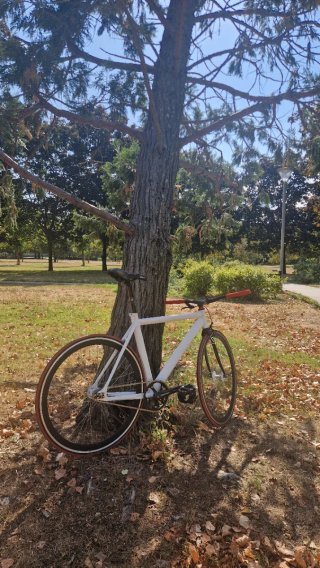 Bicicleta Fixie