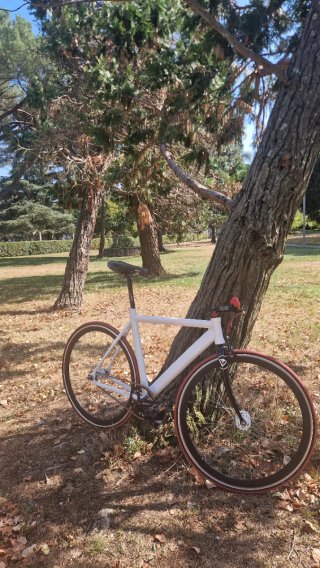 Bicicleta Fixie