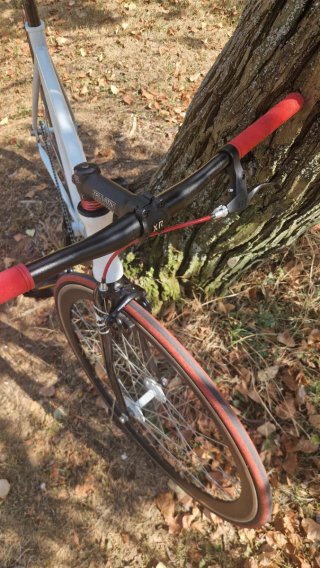 Bicicleta Fixie