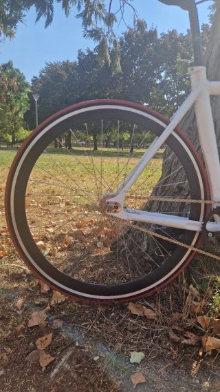 Bicicleta Fixie