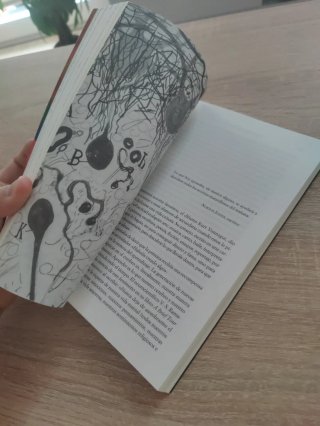 Tu cerebro quiere arte Cómo el arte nos transforma
