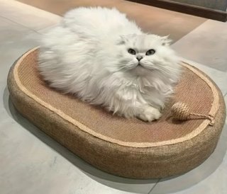 Cama rascador para gatos ovalada