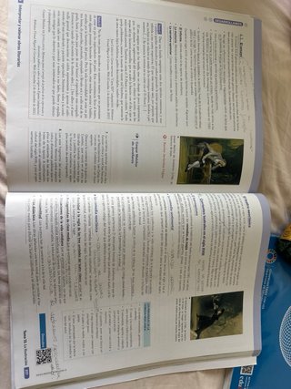 Lengua castellana y literatura 1 Bachillerato