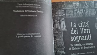 La città dei libri sognanti da Zamonia, un roma...