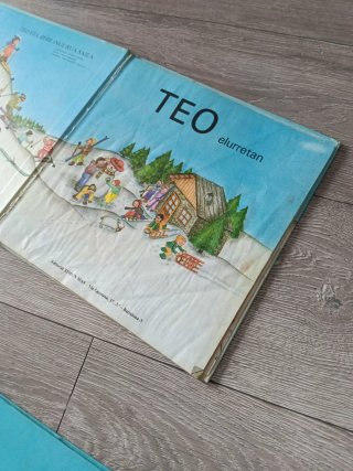 Teo euskaraz / bi liburu