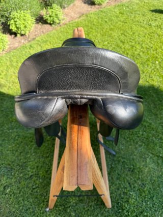 Montura de caballo Albion