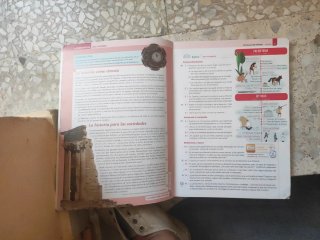 Lengua Castellana y Literatura 2º ESO