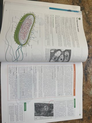 Biología 2 bachillerato, Operación Mundo
