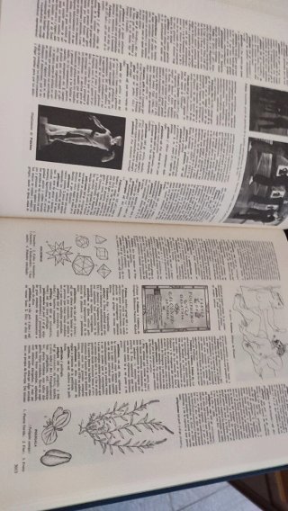 Diccionario enciclopédico e historia gráfica S.XX