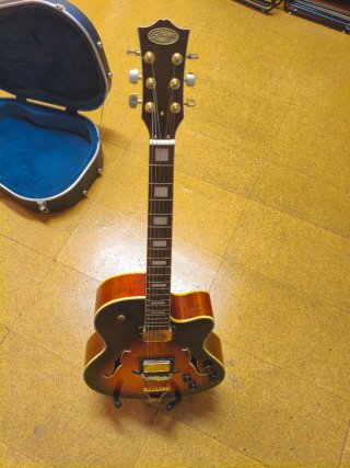 Guitarra Eléctrica Semihueca con Funda