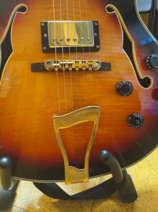Guitarra Eléctrica Semihueca con Funda