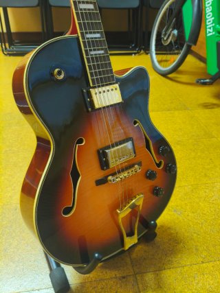 Guitarra Eléctrica Semihueca con Funda