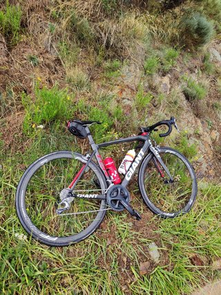Bicicleta Giant TCR Advanced Carretera