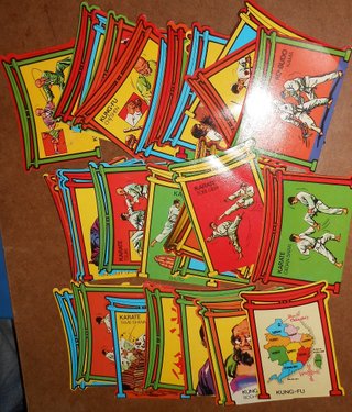 Colección Artes Marciales Dunkin Completa