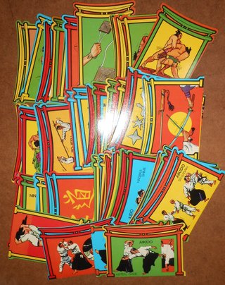 Colección Artes Marciales Dunkin Completa