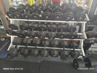 Mancuernas y Mancuernas de 5 a 50 kg