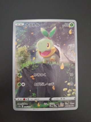 Turtwig AR #206 jap nm