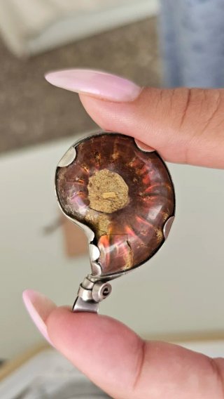 Colgante unisex de Plata Ley con Amonita Marrón