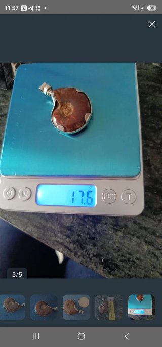 Colgante unisex de Plata Ley con Amonita Marrón