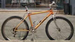 Bicicleta Orbea MTB