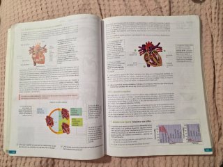 Biología, Geología y Ciencias Ambientales. 1 Ba...