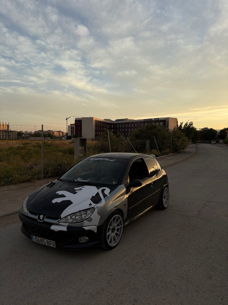 Peugeot 206 2001 - foto 1