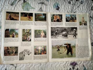 Álbum de Figuras Panini Sandokan