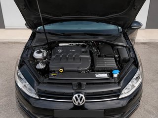 Volkswagen Golf Bluemotion 1.6 TDI 110CV