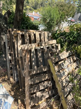 Palets de madera